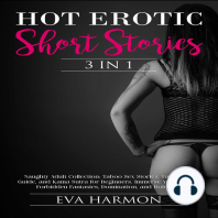 Hot Erotic Short Stories 3 in 1
