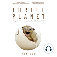 Turtle Planet