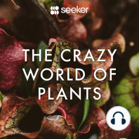 The Crazy World of Plants