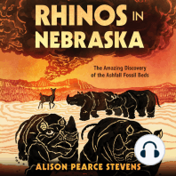 Rhinos in Nebraska