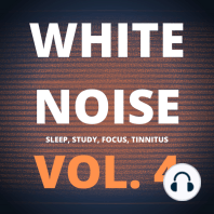 White Noise (Vol. 4)