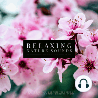 Ultimate Relaxing Nature Sounds with Relaxing Music for Meditation, Study, Mindfulness & Deep Sleep