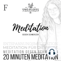Meditation gegen Schmerzen - Meditation F - 20 Minuten Meditation
