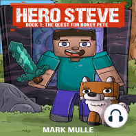 Hero Steve Book 1