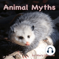 Animal Myths