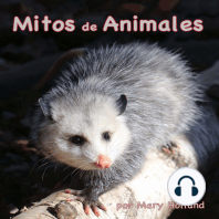 Mitos de Animales