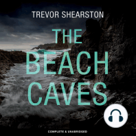 The Beach Caves