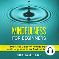 Mindfulness for Beginners