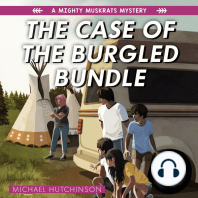 The Case of the Burgled Bundle