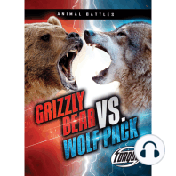 Grizzly Bear vs. Wolf Pack