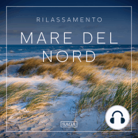 Rilassamento - Mare del Nord