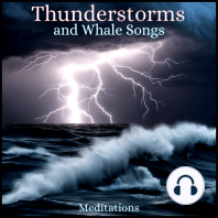 Thunderstorm and Whale Songs