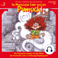 De Meischter Eder und sin Pumuckl, Vol.2 (De Pumuckl muess Ornig lehre / De Pumuckl und s Schlossgschpängscht)