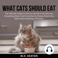 What Cats Should Eat