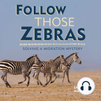 Follow Those Zebras