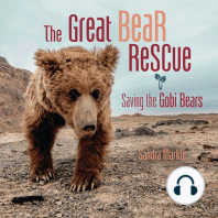 The Great Bear Rescue