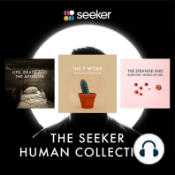 The Seeker Human Collection