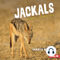 Jackals