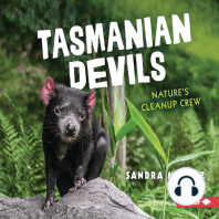 Tasmanian Devils