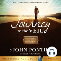Journey to the Veil