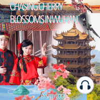 Chasing Cherry Blossoms in Wuhan