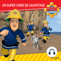 Sam le Pompier - Un super chien de sauvetage