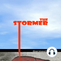 The Stormer