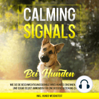 Calming Signals bei Hunden