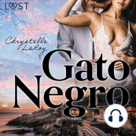 Gato Negro