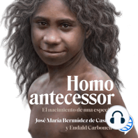 Homo antecessor