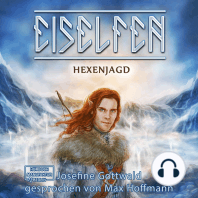 Hexenjagd - Eiselfen, Band 4 (ungekürzt)