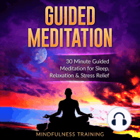 Guided Meditation