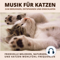 Musik für Katzen zum Beruhigen, Entspannen und Einschlafen