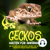 Geckos halten für Anfänger