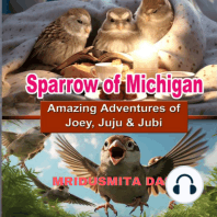 Sparrows Of Michigan - Amazing Adventures of Joey, Juju & Jubi