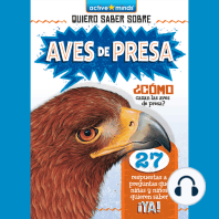 Aves de presa (Birds of Prey)