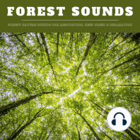 Forest Sounds
