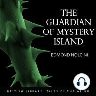 The Guardian of Mystery Island