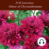 Odour of Chrysanthemums
