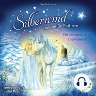 Silberwind, das weiße Einhorn (Band 6) - Das geheime Zauberschloss