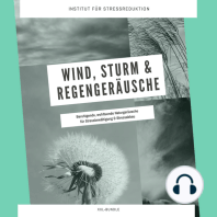 Wind, Sturm & Regengeräusche