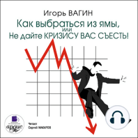 Как выбраться из ямы, или Не дайте кризису вас съесть!