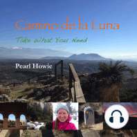 Camino de la Luna - Take What You Need (Part 2)