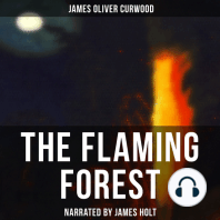 The Flaming Forest