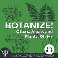 Otters, Algae, and Plants, Oh My