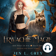 Erwachte Magie - Der Wolf in mir 3 - Fantasy Hörbuch