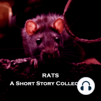 Rats - A Short Story Collection