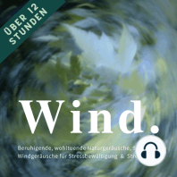 Wind & Windgeräusche