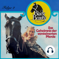 Black Beauty, Folge 2