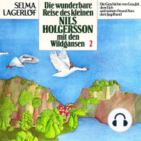 Nils Holgersson, Folge 2